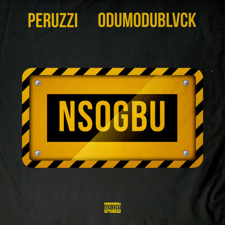 Peruzzi ft OdumoduBlvck – Nsogbu